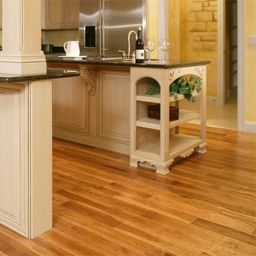 Homerwood Aesthetics™ Collection | San Diego, CA